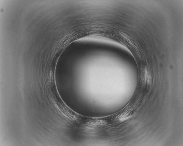 X0000059800459200510211056