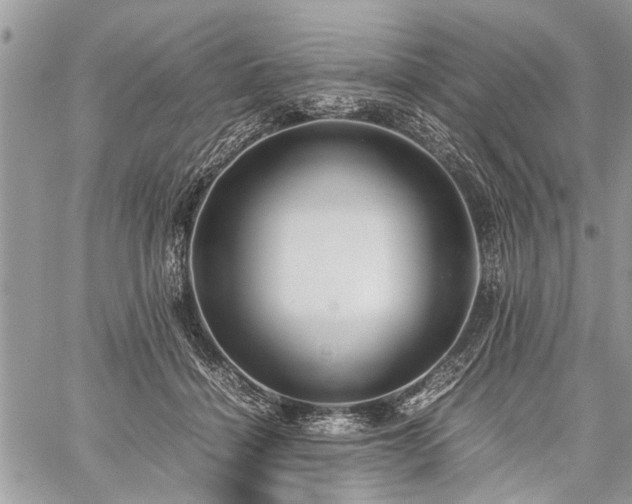 X0000059800460200510211056