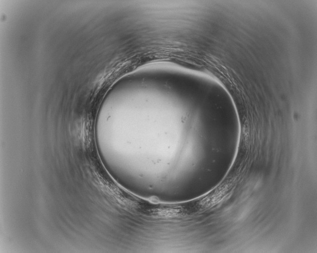 X0000059800462200510211056