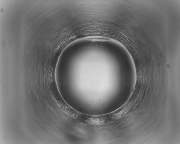 X0000059800464200510211056