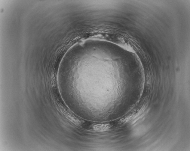 X0000059800465200510211056