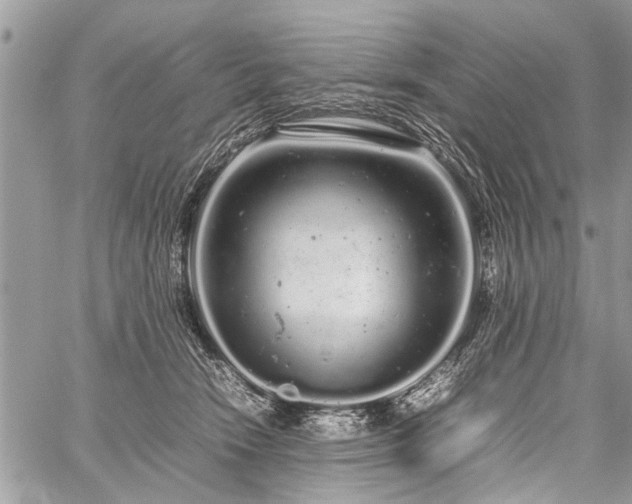 X0000059800466200510211056