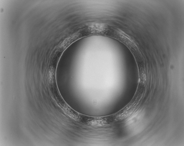 X0000059800468200510211056