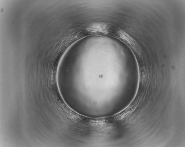 X0000059800469200510211056