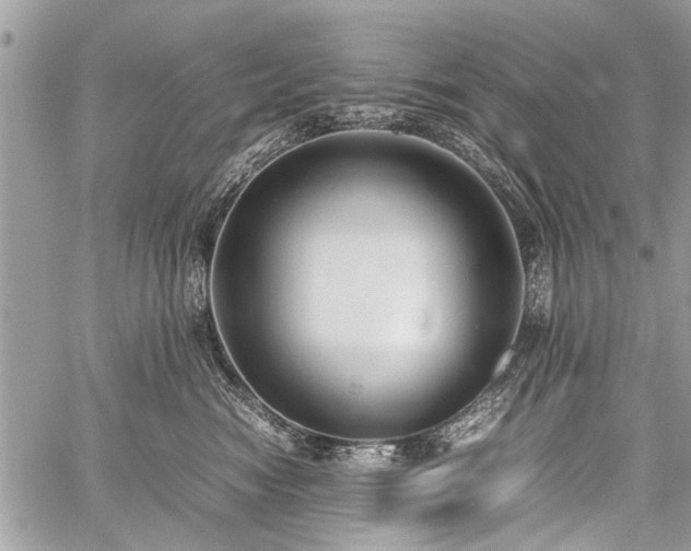 X0000059800474200510211056