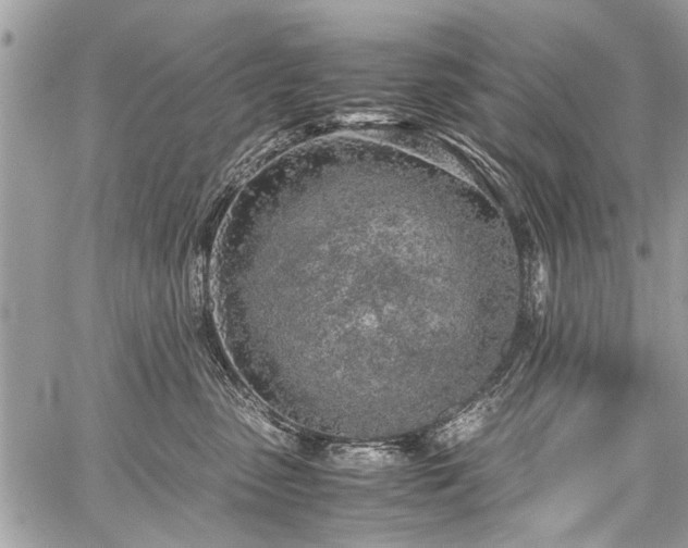 X0000059800475200510211056