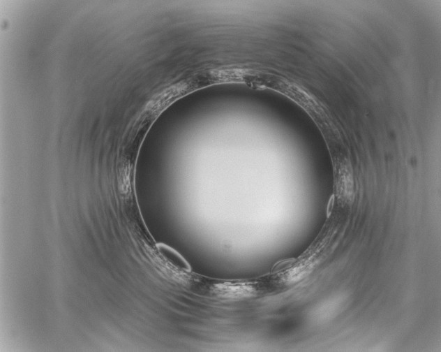 X0000059800477200510211056