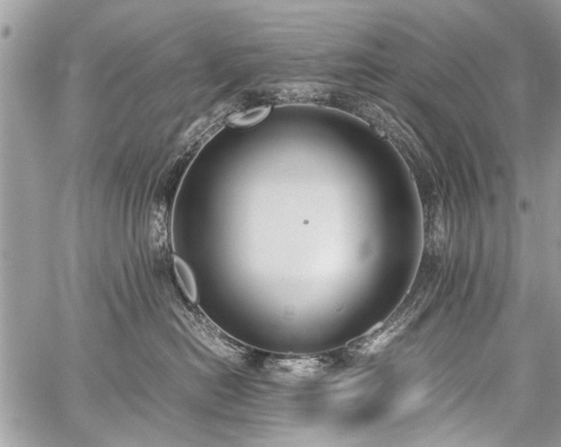 X0000059800478200510211056