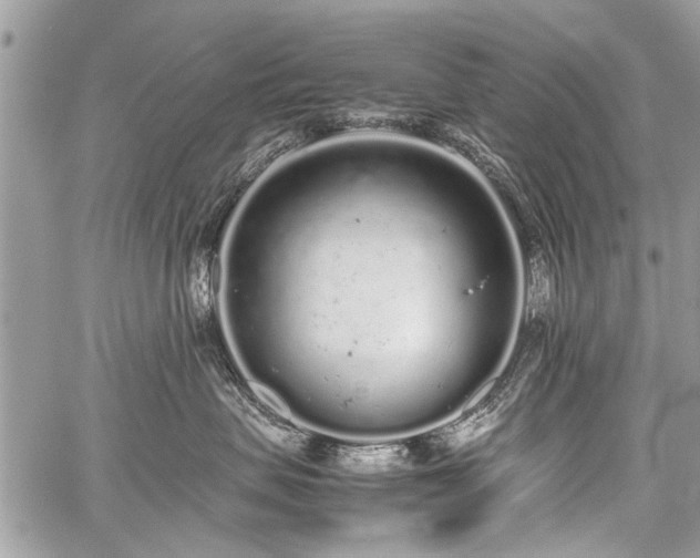 X0000059800479200510211056