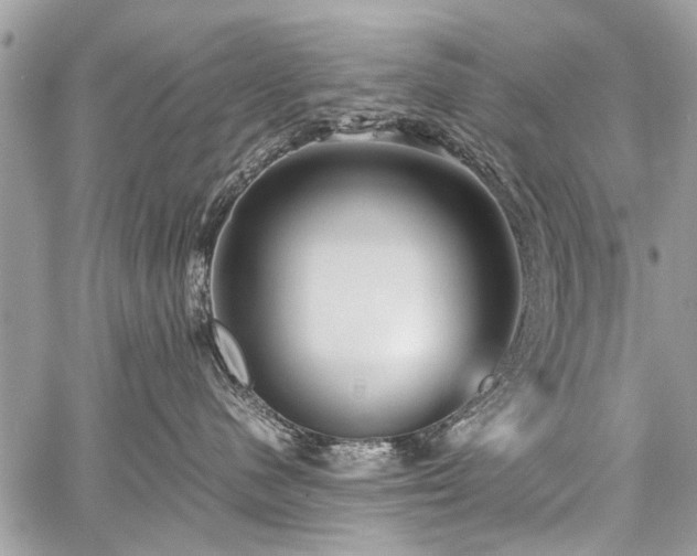 X0000059800480200510211056