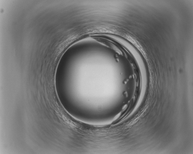 X0000059800481200510211055