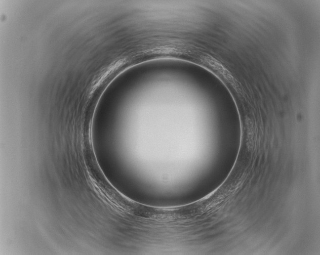 X0000059800482200510211055