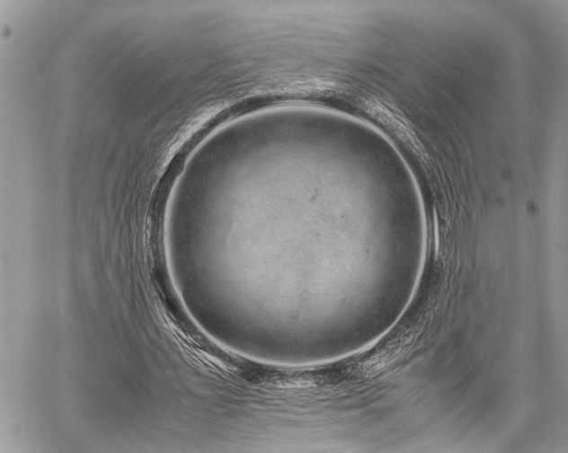 X0000059800483200510211055