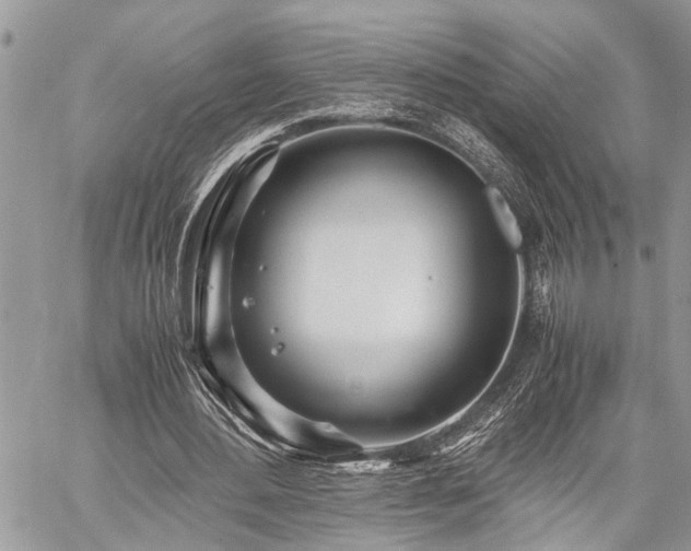 X0000059800484200510211055