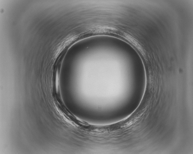 X0000059800485200510211055