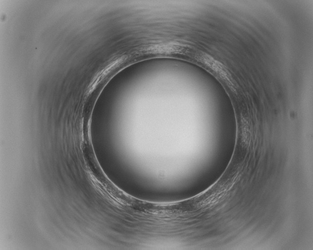 X0000059800486200510211055