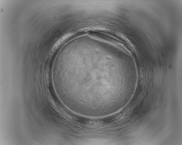 X0000059800487200510211055