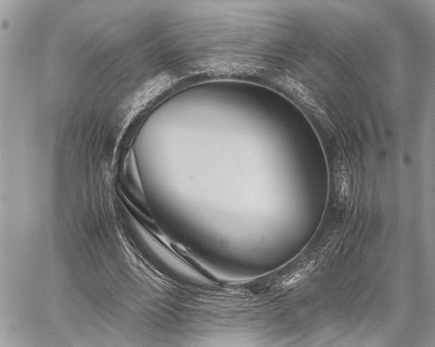 X0000059800488200510211055