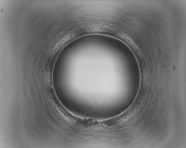 X0000059800489200510211055