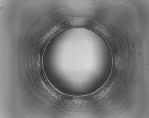 X0000059800490200510211055