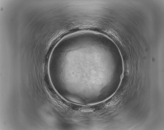 X0000059800491200510211055