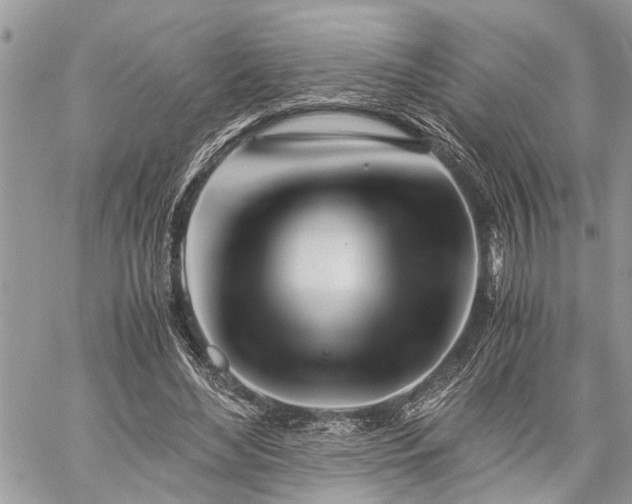 X0000059800492200510211055