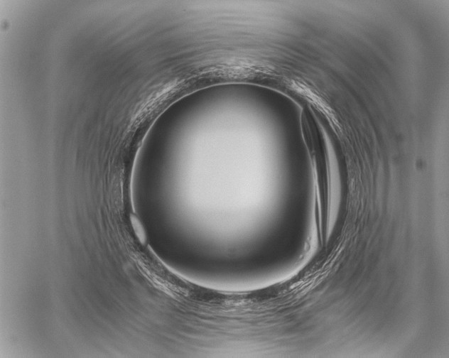 X0000059800493200510211055