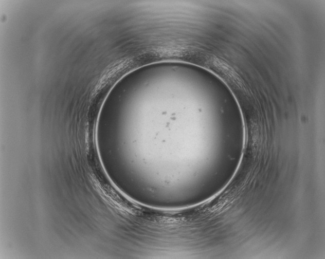 X0000059800494200510211055