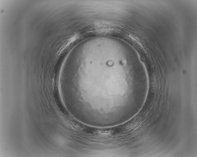 X0000059800495200510211055