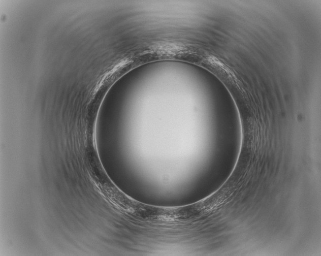 X0000059800496200510211055