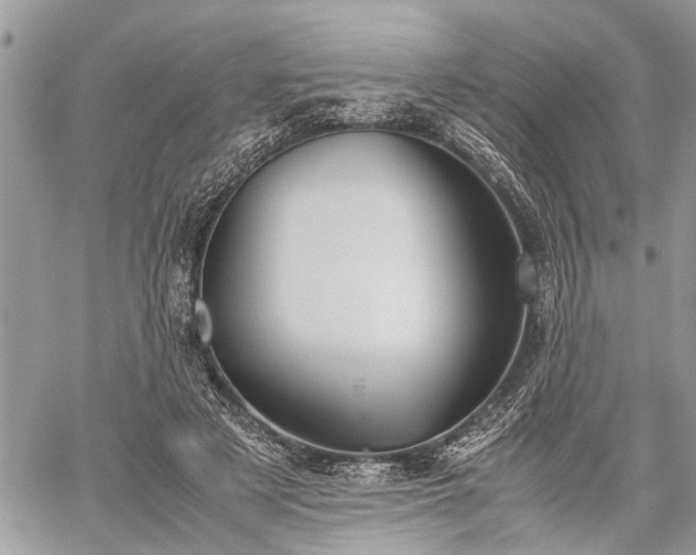 X0000059800497200510211055