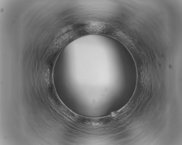 X0000059800498200510211055