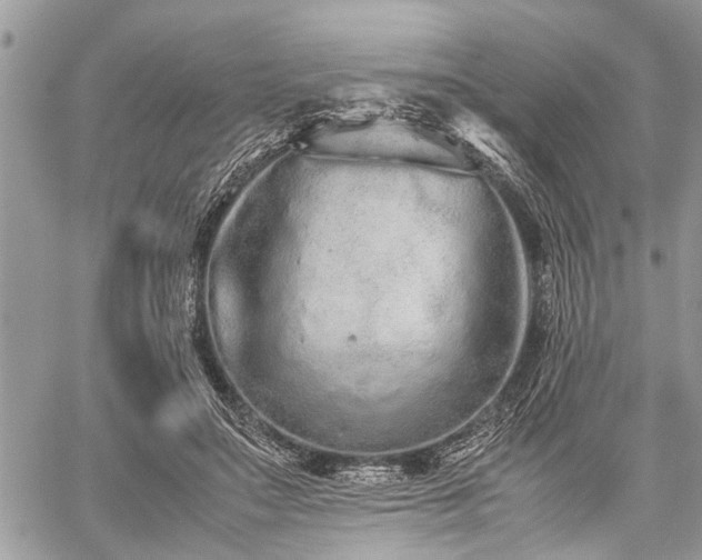 X0000059800499200510211055