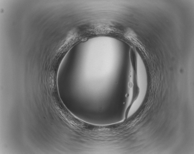 X0000059800501200510211055