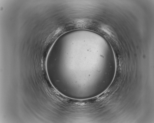 X0000059800502200510211055