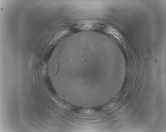 X0000059800503200510211055