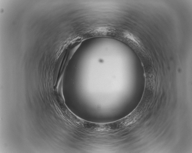 X0000059800504200510211055