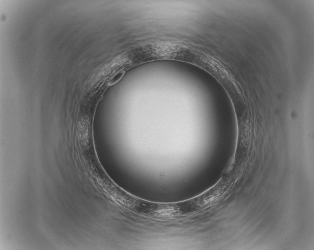 X0000059800505200510211055