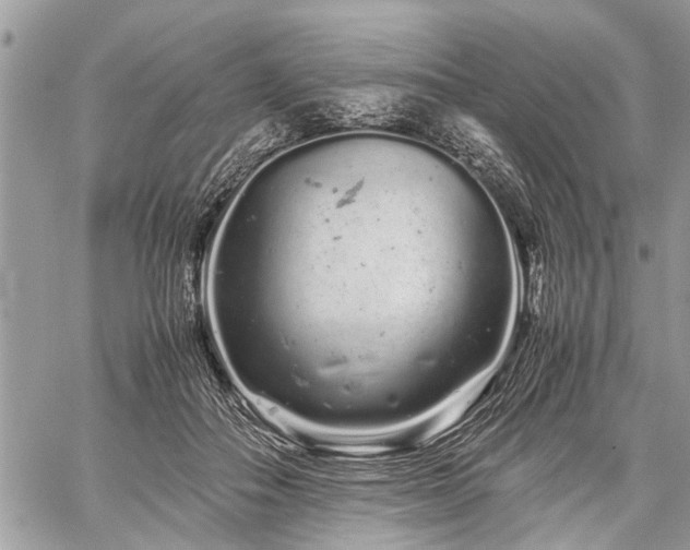 X0000059800506200510211055