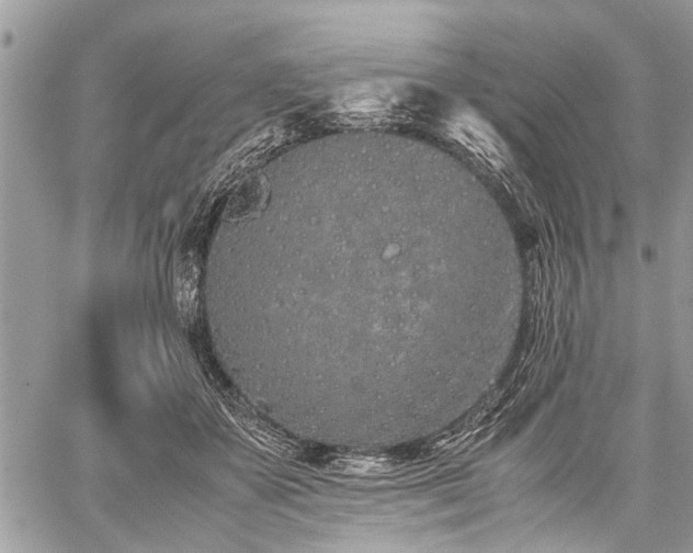 X0000059800507200510211055