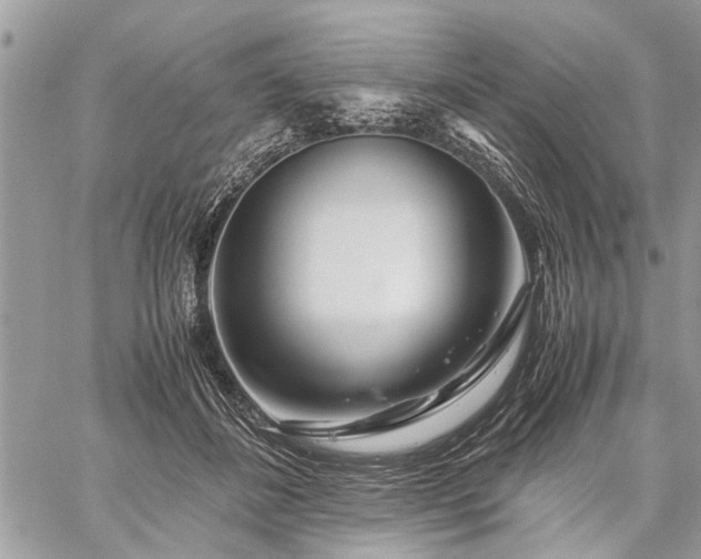 X0000059800508200510211055