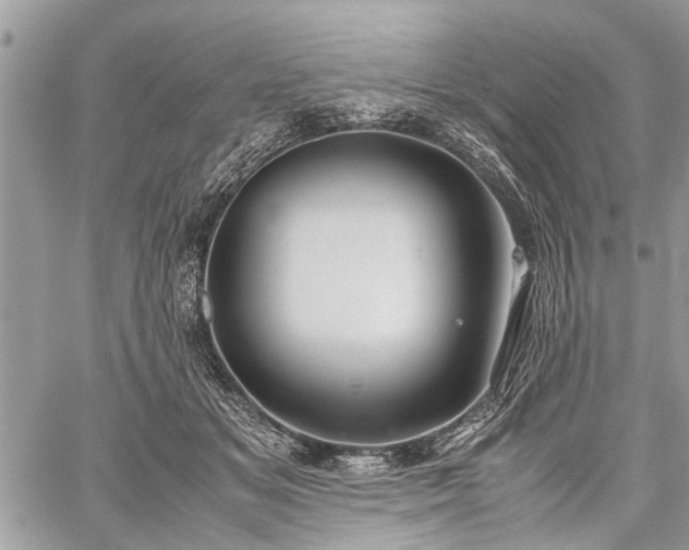 X0000059800509200510211055