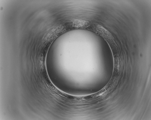 X0000059800510200510211055