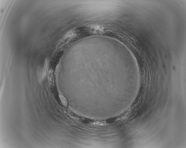 X0000059800511200510211055