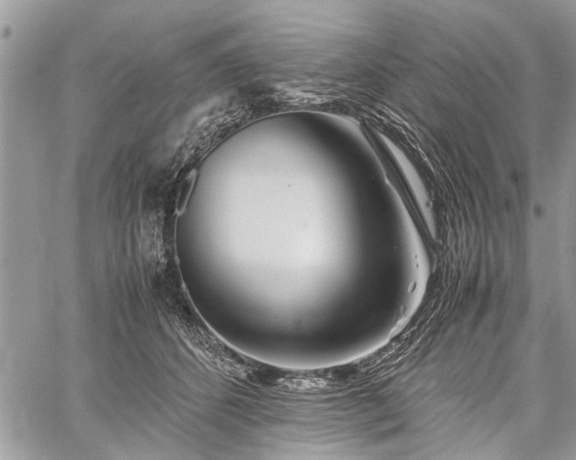 X0000059800512200510211055