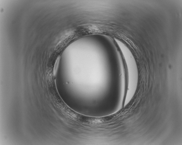 X0000059800513200510211055