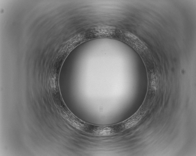 X0000059800514200510211055