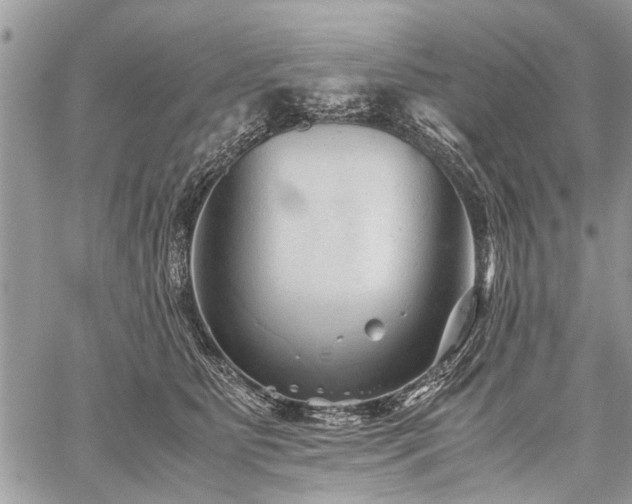 X0000059800515200510211055