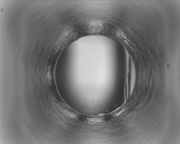 X0000059800516200510211055