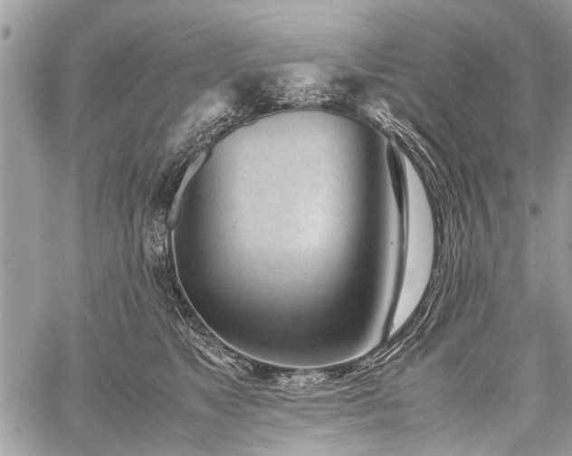 X0000059800517200510211055